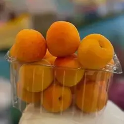 Apricot- plant