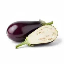Eggplant