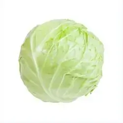 Cabbage