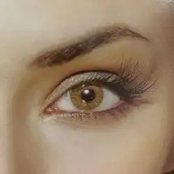 Eye Lenses-High Quality-Rozza