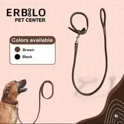 Dog Leash & Collar