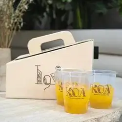 KOA Cooler box