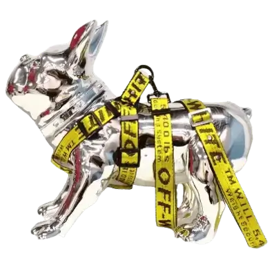 E74 Pet Collar+Leash+Harness