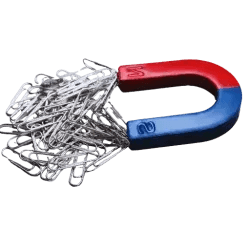 Magnet