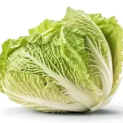 Lettuce