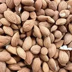 Apricot Seeds