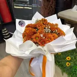 Orange Dawoodi