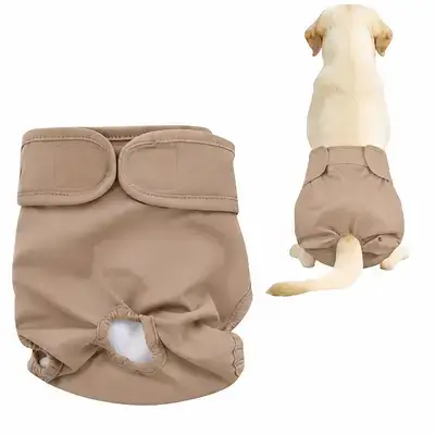 Dog Diaper S