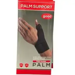 Palm support