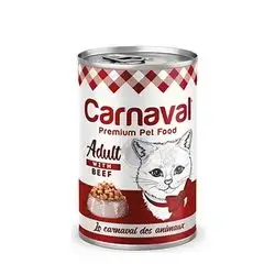 Carnaval Adult