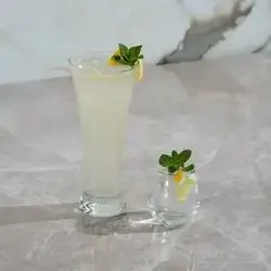 Classic Mojito L