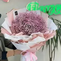 Gypsophila Bouquet 