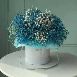 Box Of Blue & White Jbsofelia