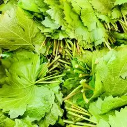Grape Leaves - 500 G