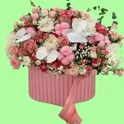 Pink Flower Box With Orchids
