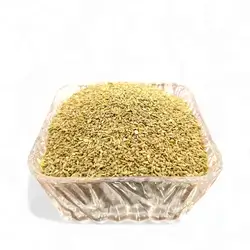ANISE