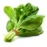 Spinach