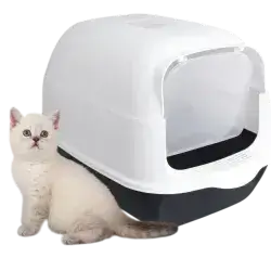 Plastic Cat Litter Box