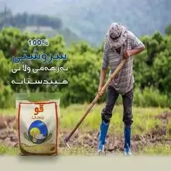 Rice Qw Shafaf 9kg