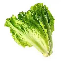 خاس