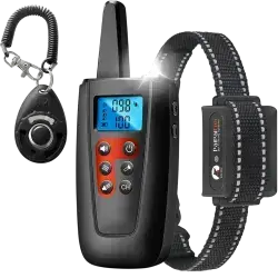 Dog Training Collar