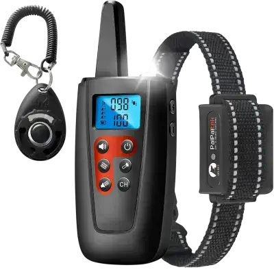 Dog Training Collar