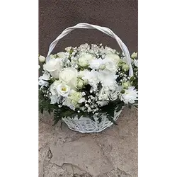 Basket Flower