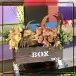 Flower Box