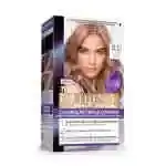 Loreal Excellence Hair Color 8.12