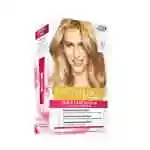 L'oreal Exc Light Ash Blonde No 8.1
