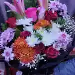 Lilium Purple David In Different Colors Rose Of Different Colors Gypsophila Accessories Black Packaging