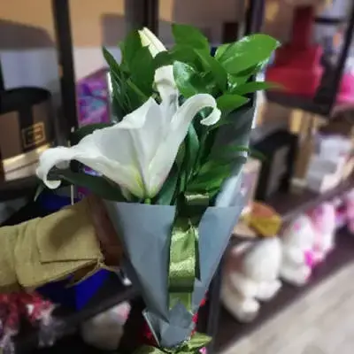 لیلی سپی ئێکسسوارەکان پێچانەوە