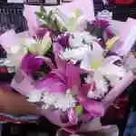 White Blame Pink Lilium Purple Lilium Pink White Daudi David Purple Accessories Wrapping