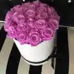 Rose Pink Round Box