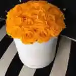 Rose Yellow Round Box