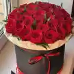 Red Rose Round Box