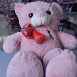 Pink Teddy Bear