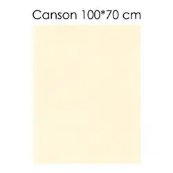 Canson Paper (Begie) 100 X 70 cm