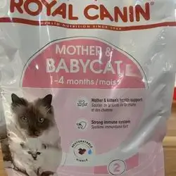 Royal canin Mother and Baby cat dry food 2kg