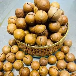 Macadamia