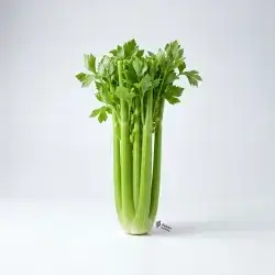 1 Bunch Celery