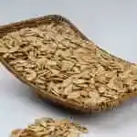 Low Salt Zucchini Seeds