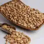 Plain Pistachio