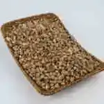 Seed