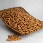 American Almond