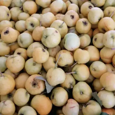 Yellow Hawthorn - 250g