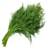 Dill