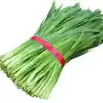 Leek