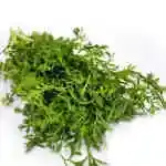 Cress