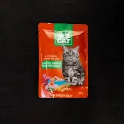 Wise cat